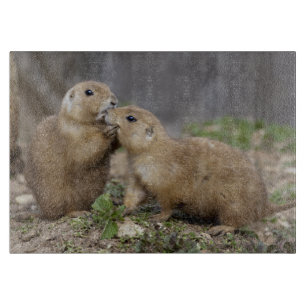 Planche à découper rectangulaire Kiss me Quick
