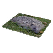 Planche à découper rectangulaire Spike (Coin)
