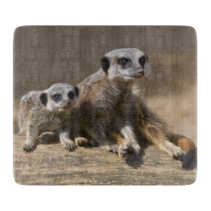 Planche à découper rectangulaire Watch with Mother