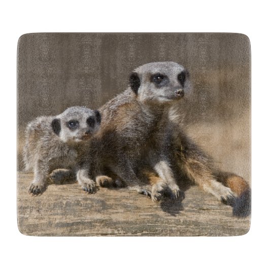 Planche à découper rectangulaire Watch with Mother (Devant)