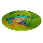 Planche À Découper Red-eyed tree frog, Costa Rica (Coin)