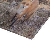 Planche À Découper Red Fox de près et personnel (Coin)