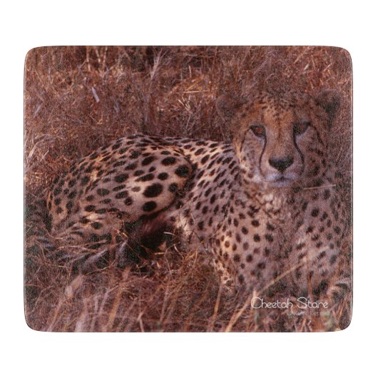 Planche À Découper Regard fixe de guépard (Devant)