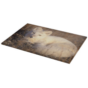 Planche À Découper renard arctique, Alopex lagopus