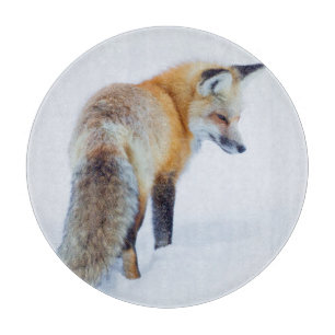 Planche À Découper Renard roux en hiver