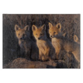 Planche À Découper renard roux, Vulpes vulpes, kits (Devant)
