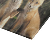 Planche À Découper Renardeau renard roux devant terrier (Vulpes vulpe (Coin)