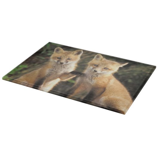 Planche À Découper Renardeau renard roux devant terrier (Vulpes vulpe (Coin)