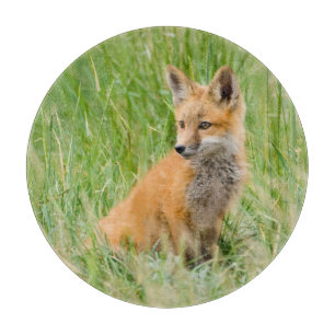 Planche À Découper Renardeau roux dans l'herbe près de terrier