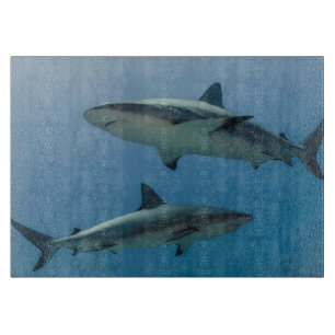 Planche À Découper Requin de récif des Caraïbes