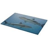 Planche À Découper Requin de récif des Caraïbes (Coin)