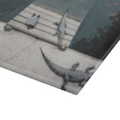 Planche À Découper Réservoir de reptiles (Coin)