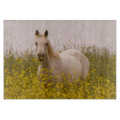 Planche À Découper Ressort (Devant)