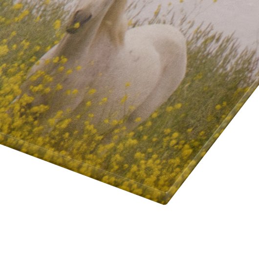 Planche À Découper Ressort (Coin)