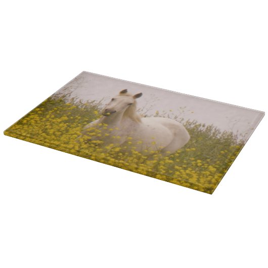 Planche À Découper Ressort (Coin)