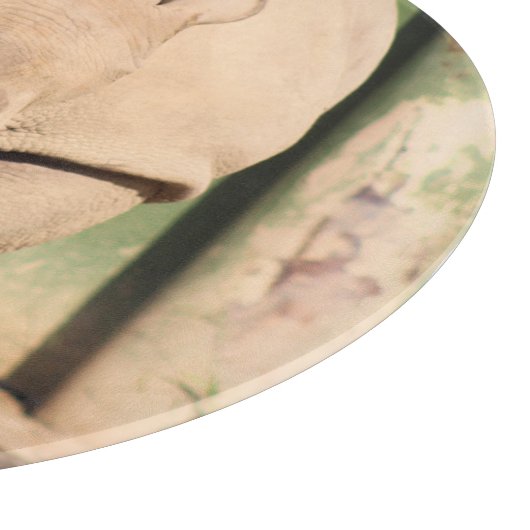 Planche À Découper Rhino blanc (Coin)