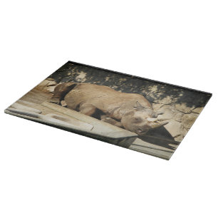 Planche À Découper Rhino endormi