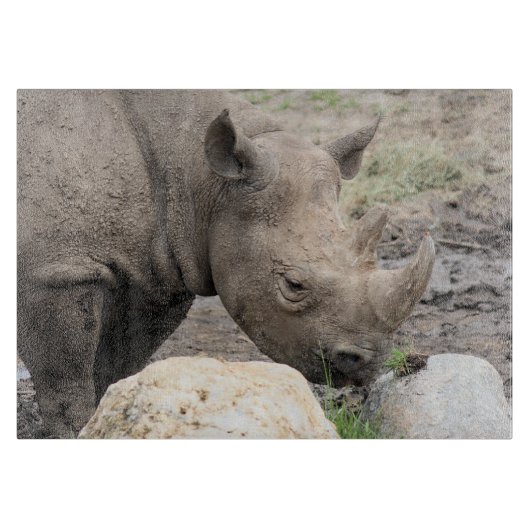 Planche À Découper rhino noir (Devant)