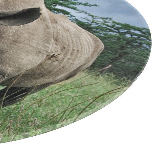 Planche À Découper Rhinoceros noirs | Kenya (Coin)