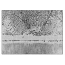 Rivière occidentale en verre d'arbre d'hiver de