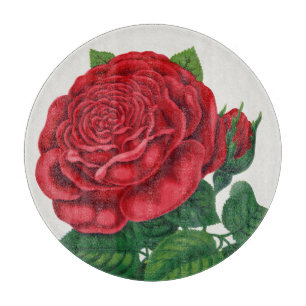 Planche À Découper Rose Print Rochester Lithographing and Printing Co
