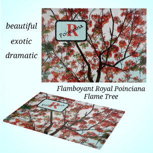 Planche À Découper Royal Poinciana flamboyant Arbre rouge Noir