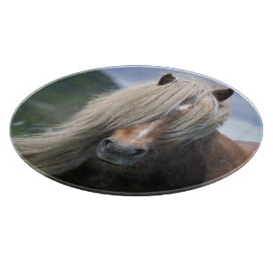 Planche À Découper Royaume-Uni, Écosse, îles Shetland, poney Shetland