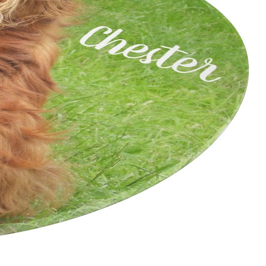 Planche À Découper Ruby Cavalier King Charles Spaniel (Coin)