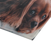 Planche À Découper Ruby Cavalier King Charles Spaniel Chien Chien Chi (Coin)