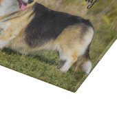 Planche À Découper Sable Cardigan Welsh Corgi Chien (Coin)