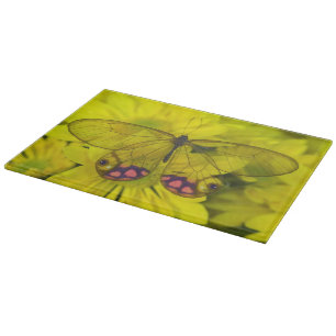 Planche À Découper Sammamish Washington Photographie de papillon sur
