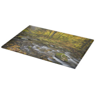 Planche À Découper Sanderson Brook. Forêt d'État de Chester-Blanford