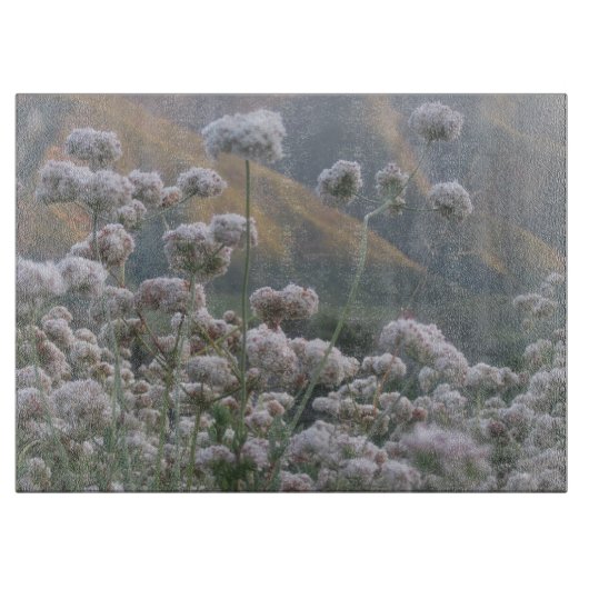 Planche À Découper Sarrasin de Californie (Devant)