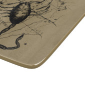 Planche À Découper Scorpio Constellation Hevelius 1690 Engraving (Coin)