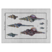 Planche À Découper Sept Coquillages Colorés (Devant)