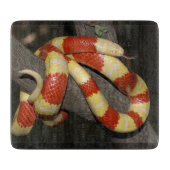 Planche À Découper Serpent de lait (Devant)