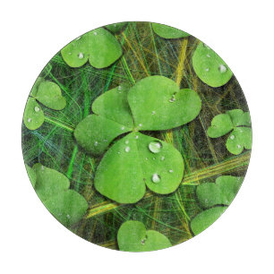 Planche À Découper Shamrock vert St Patrick iPhone 5 Coque-Mate