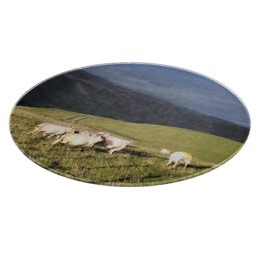 PLANCHE À DÉCOUPER SHEEP (Coin)