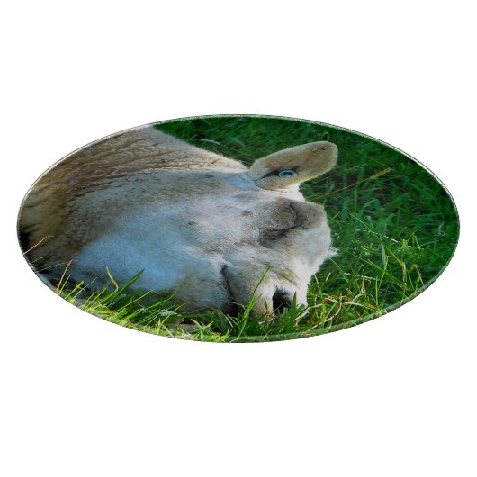 PLANCHE À DÉCOUPER SHEEP (Coin)