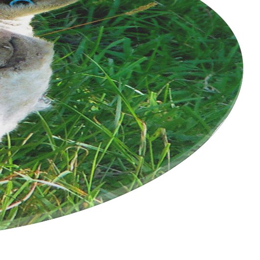 PLANCHE À DÉCOUPER SHEEP (Coin)