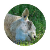 PLANCHE À DÉCOUPER SHEEP (Devant)