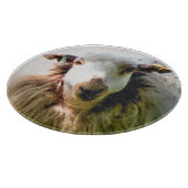 PLANCHE À DÉCOUPER SHEEP (Coin)
