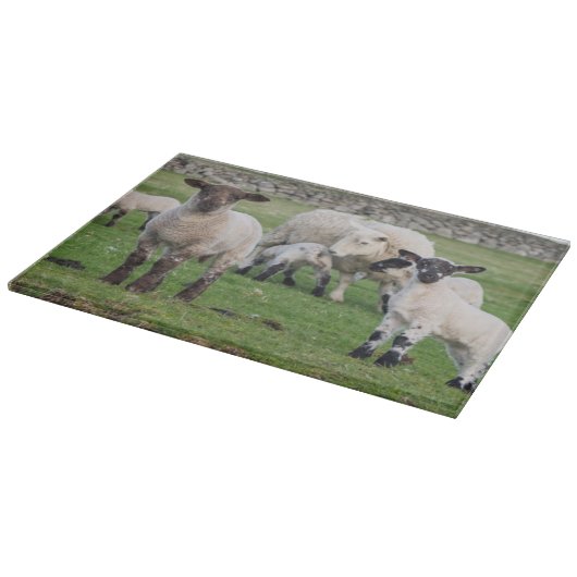 Planche À Découper Shetland Sheep (Coin)