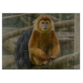 Planche À Découper Singe à nez serré dans le refuge des bois (Devant)