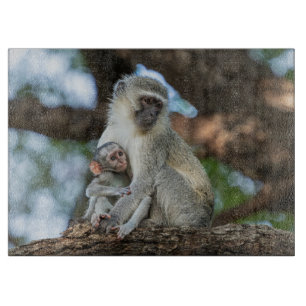 Planche À Découper Singe Vervet Curieux – Art de la Nature