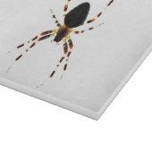 Planche À Découper Spider cbcna (Coin)
