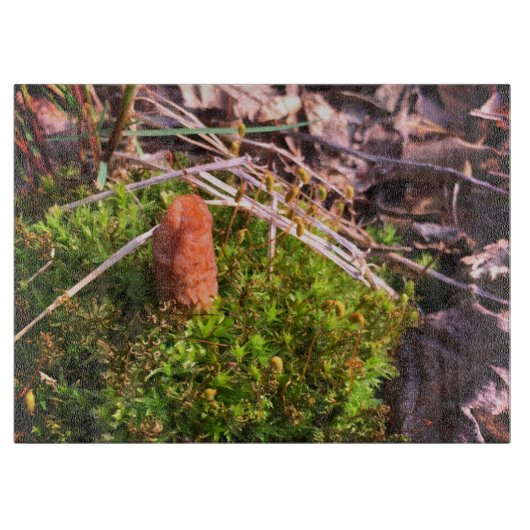 Planche À Découper Spring Morel (Devant)