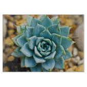 Planche À Découper Succulent (Devant)