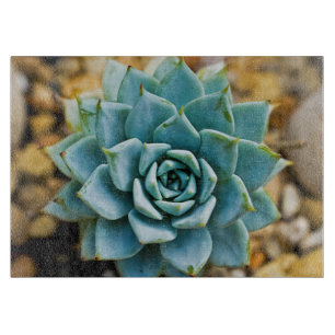 Planche À Découper Succulent