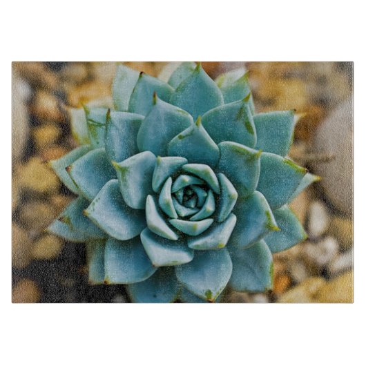 Planche À Découper Succulent (Devant)